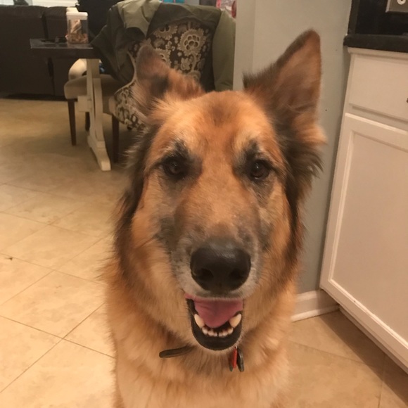 Meet your Posher, Ann - Picture 1 of 1